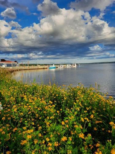 Willow House Inn B&B Pictou Eksteriør billede